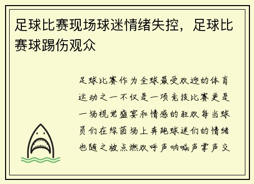 足球比赛现场球迷情绪失控，足球比赛球踢伤观众