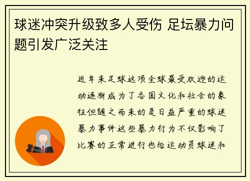球迷冲突升级致多人受伤 足坛暴力问题引发广泛关注