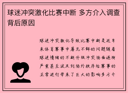 球迷冲突激化比赛中断 多方介入调查背后原因